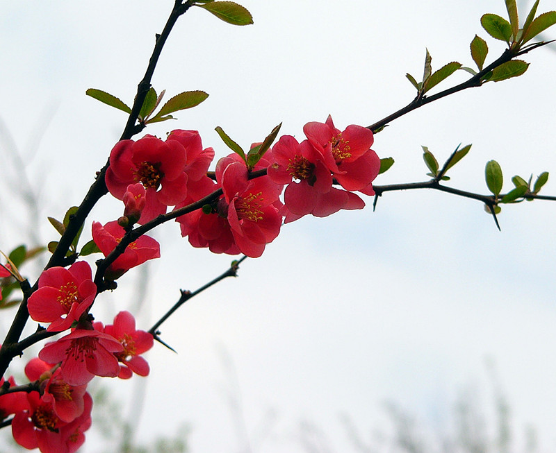 P1270533__.jpg