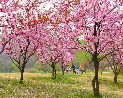 P1270594__.jpg