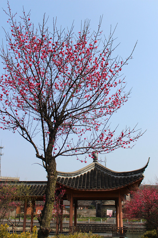 IMG_4668_副本.jpg