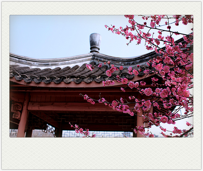 ʯ÷_0642_.jpg