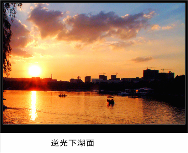 DSCF0002_conew2.jpg