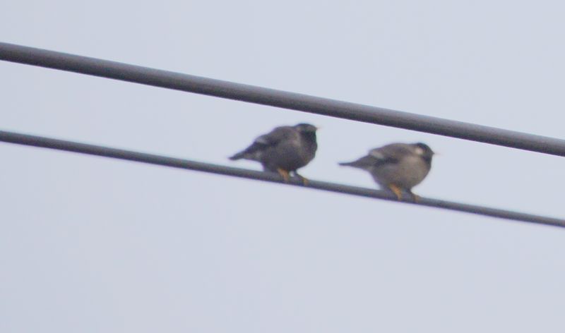 DSC05015.JPG