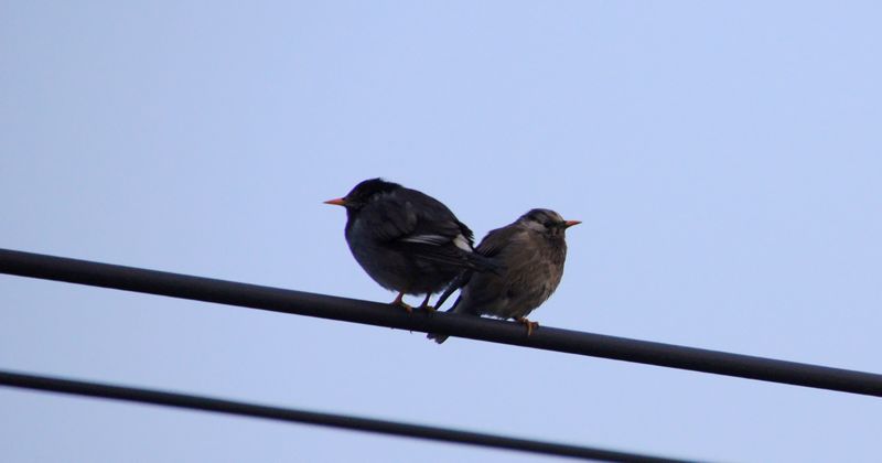 DSC05014.JPG