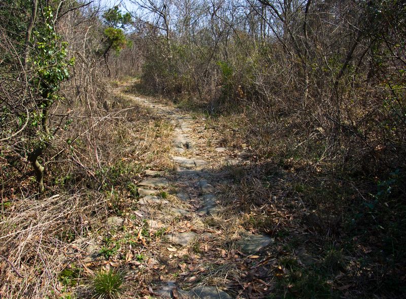 IMGP3491.jpg