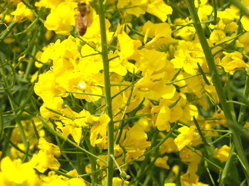 DSCN2204.JPG