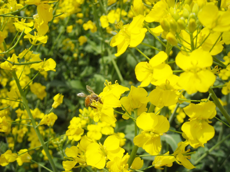 DSCN2209.JPG