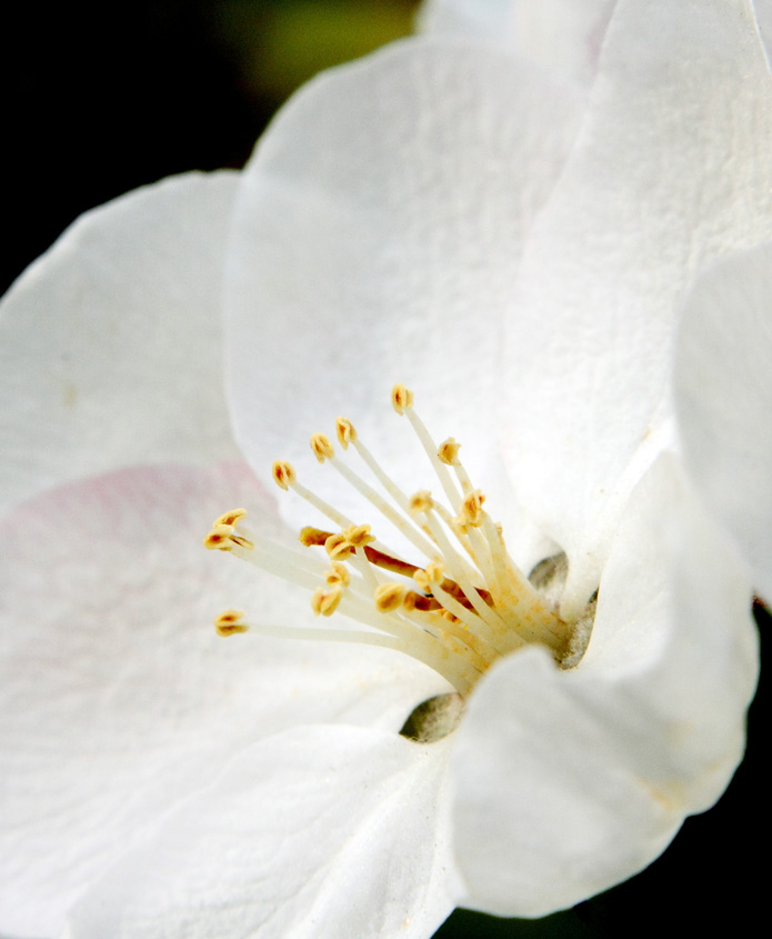 _MG_5617 .jpg