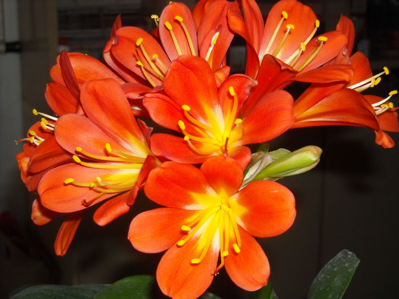 DSCN0021.JPG