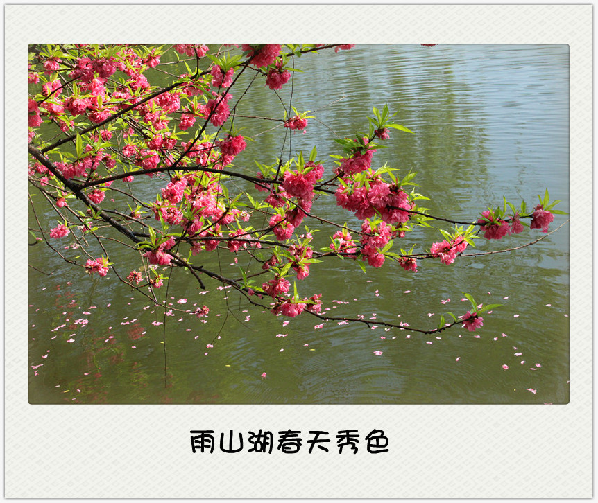 IMG_5671__.jpg
