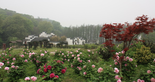 2012.4.17 085.jpg