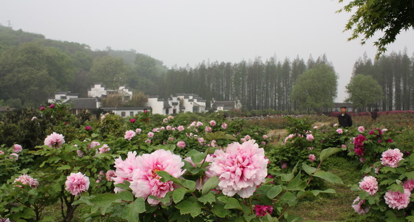 2012.4.17 062.jpg