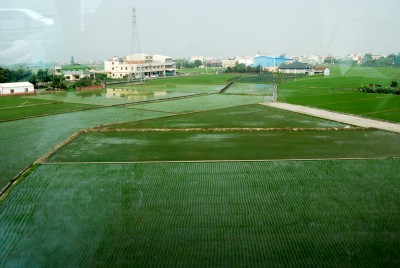 DSC_0790_conew1.JPG