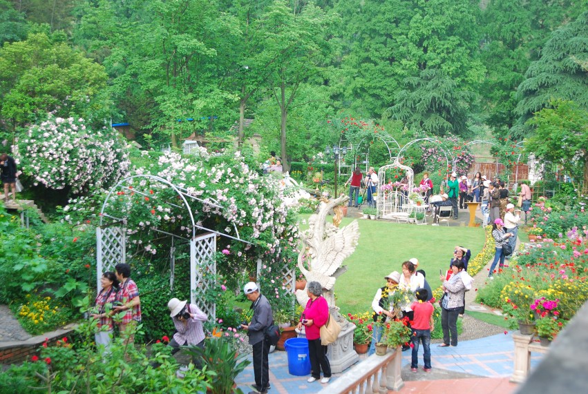 DSC_1063_conew1.JPG