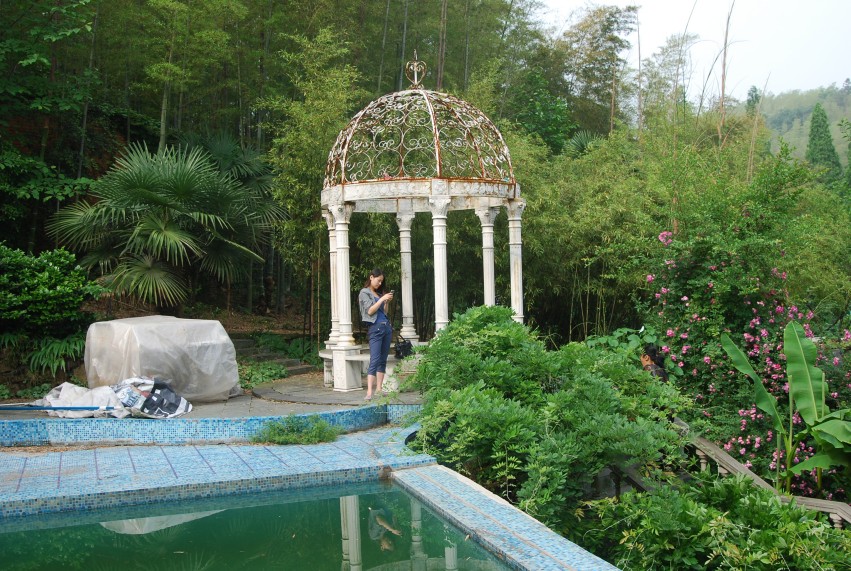 DSC_1129_conew1.JPG