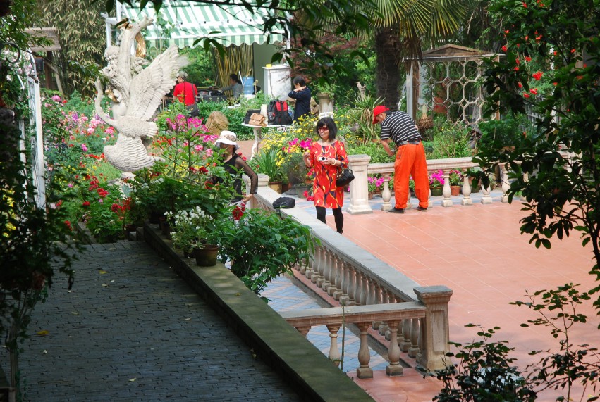 DSC_1167_conew1.JPG