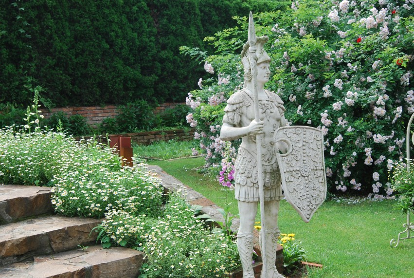 DSC_1183_conew1.JPG