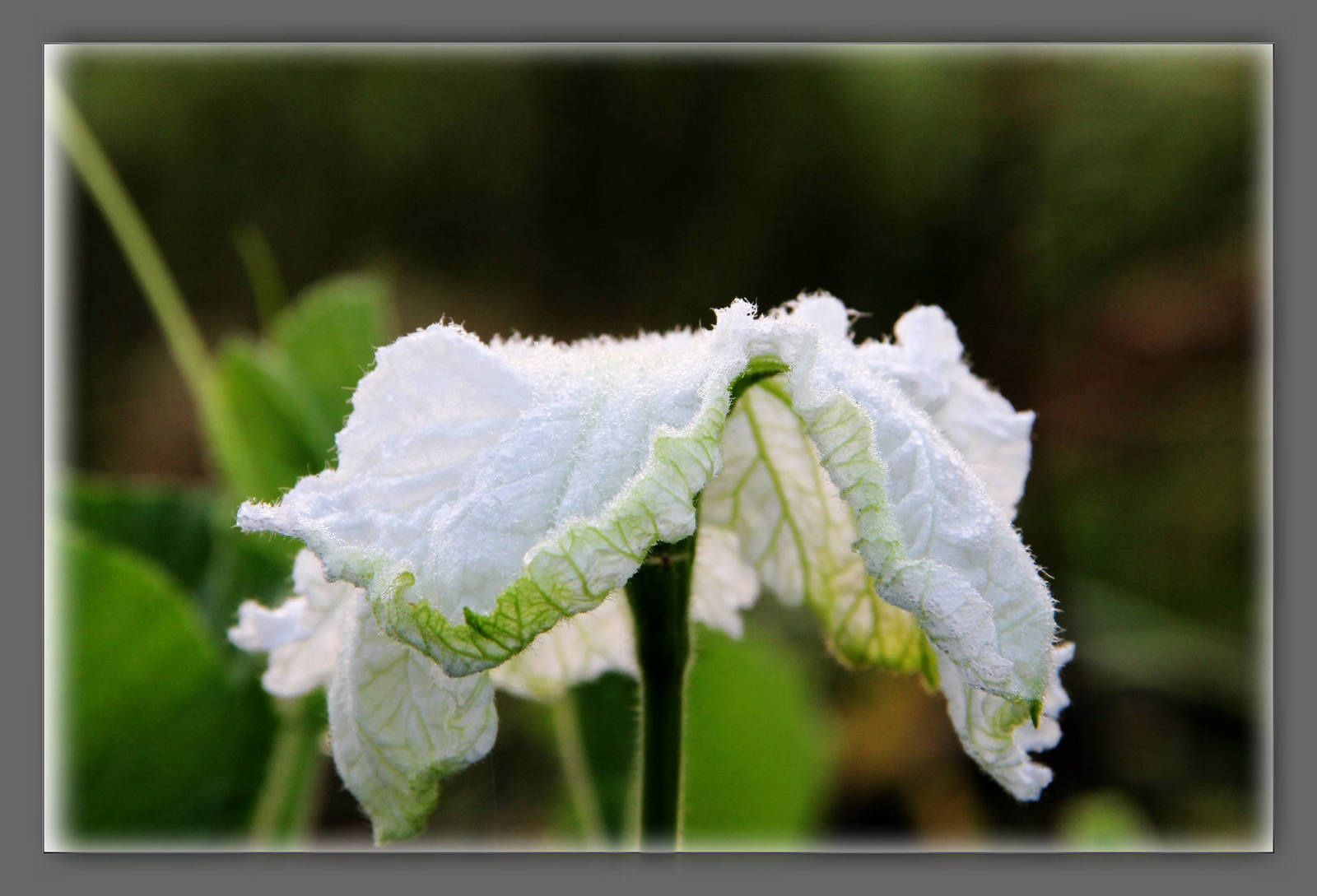 Ƭ 091.jpg