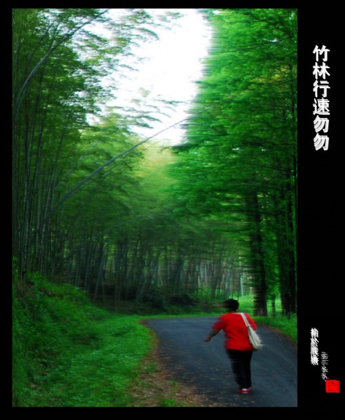 DSC_0960_conew1.JPG