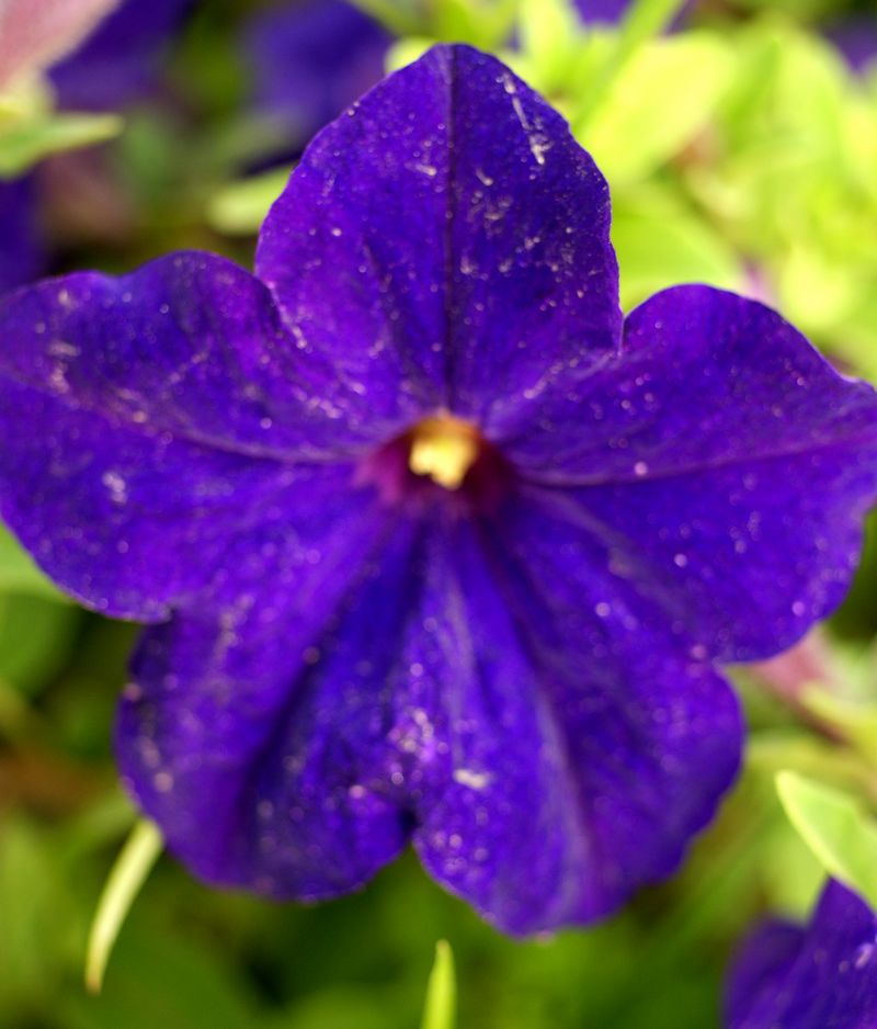DSC06880.JPG