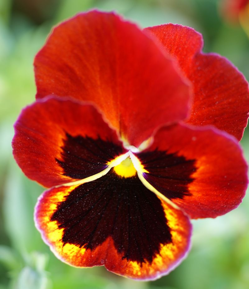 DSC06892 - .JPG