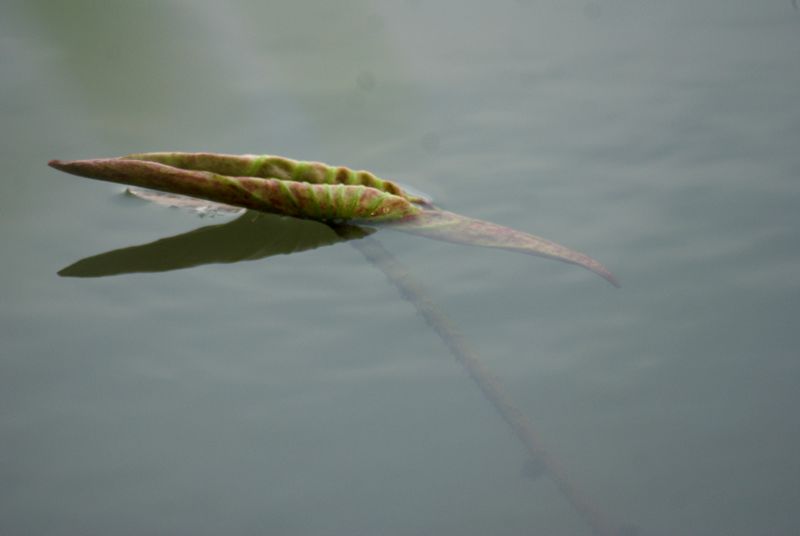 DSC07045.JPG