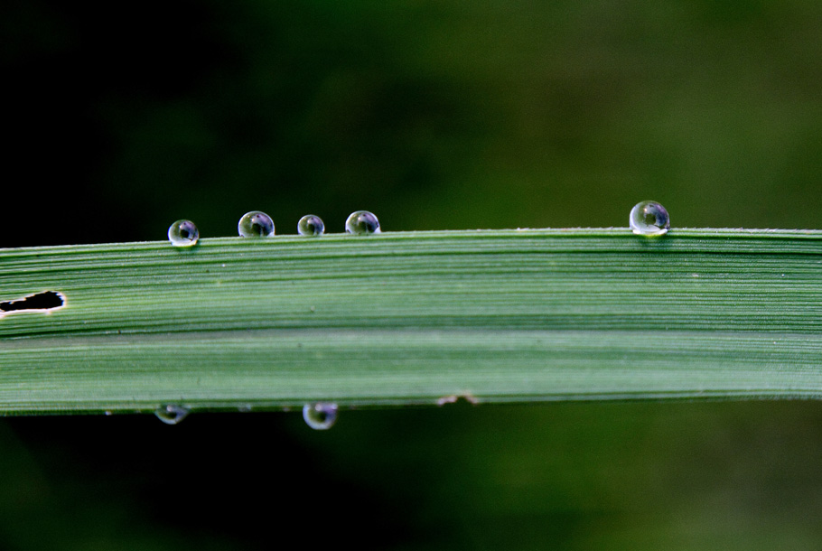 _MG_5900 .jpg