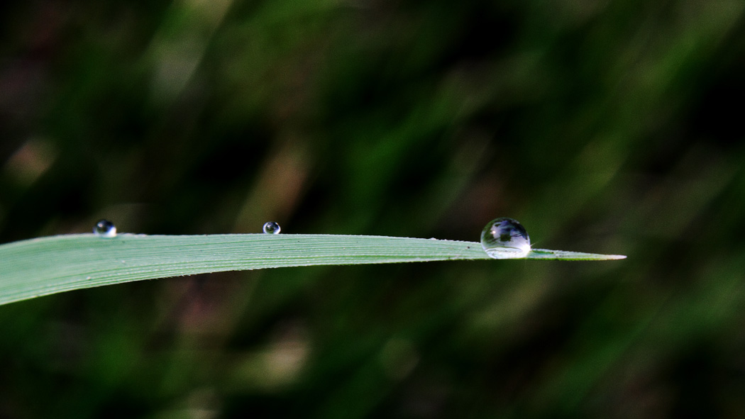 _MG_5912 .jpg