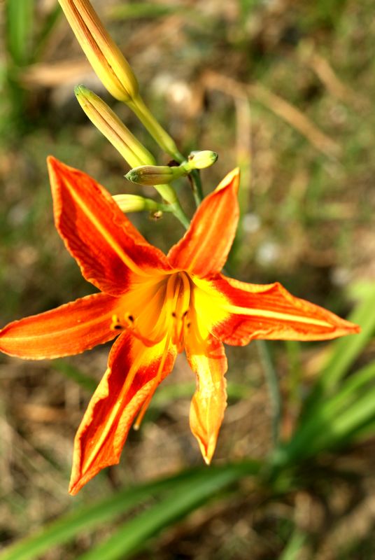 DSC08382.JPG