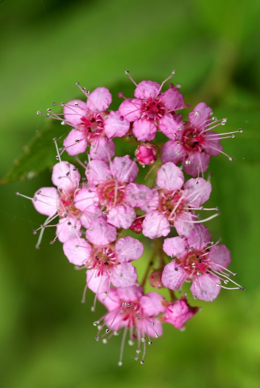 DSC08375.JPG