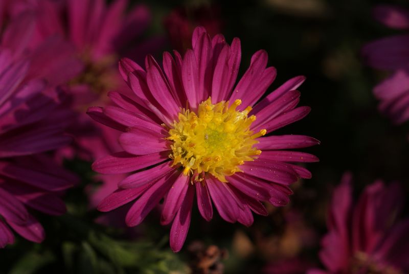 DSC08403.JPG