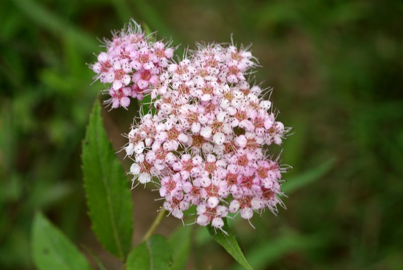 DSC08373.JPG
