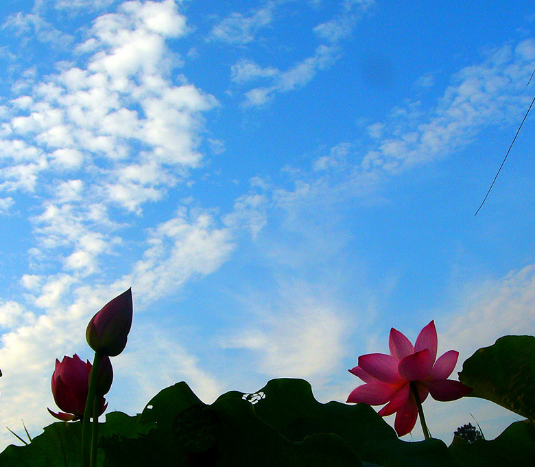 P1330297_.jpg