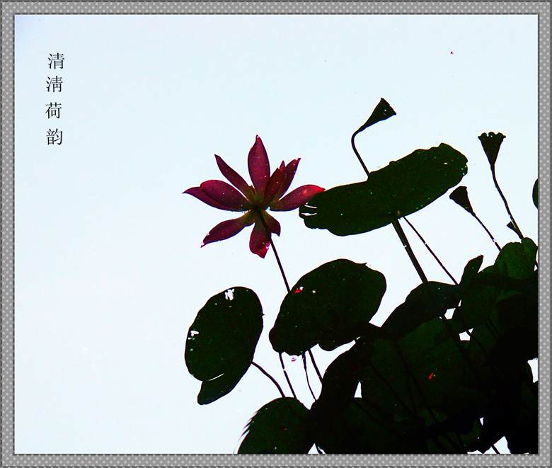 P1340570_.jpg