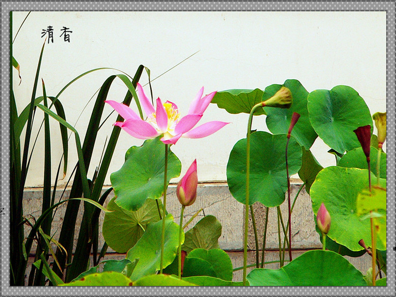 P1340522__.jpg
