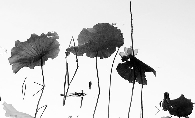 P1330640__.jpg