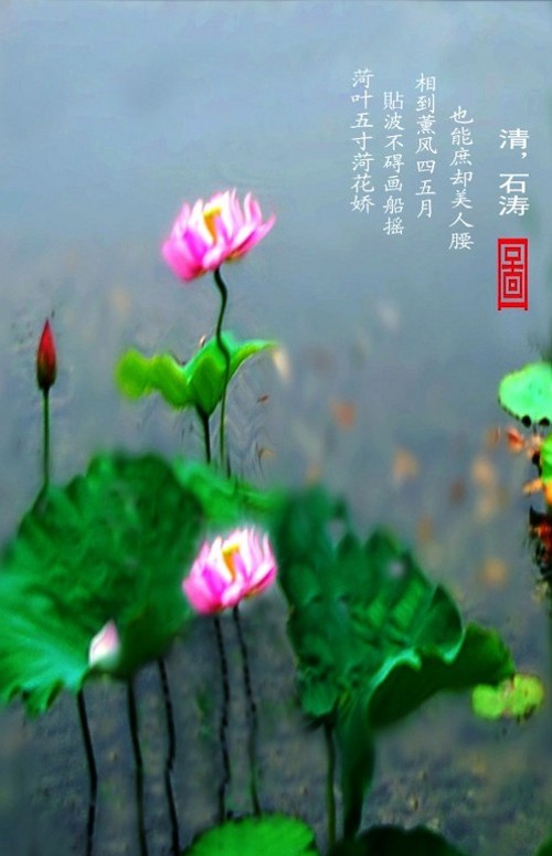   DSC_5004_conew8.JPG