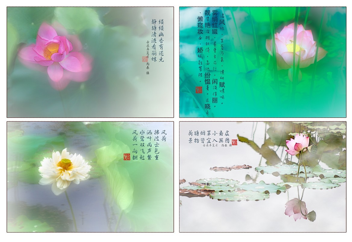 067ʫ⣨գ.jpg