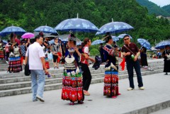 DSC_6833_conew1.JPG