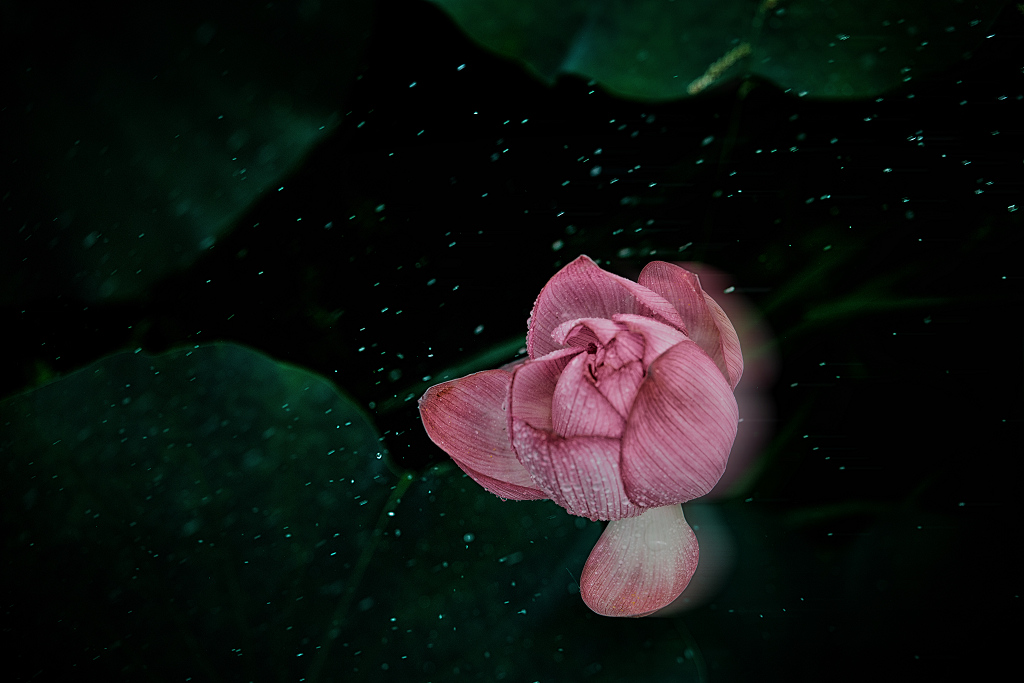 DSC_6753-2.jpg