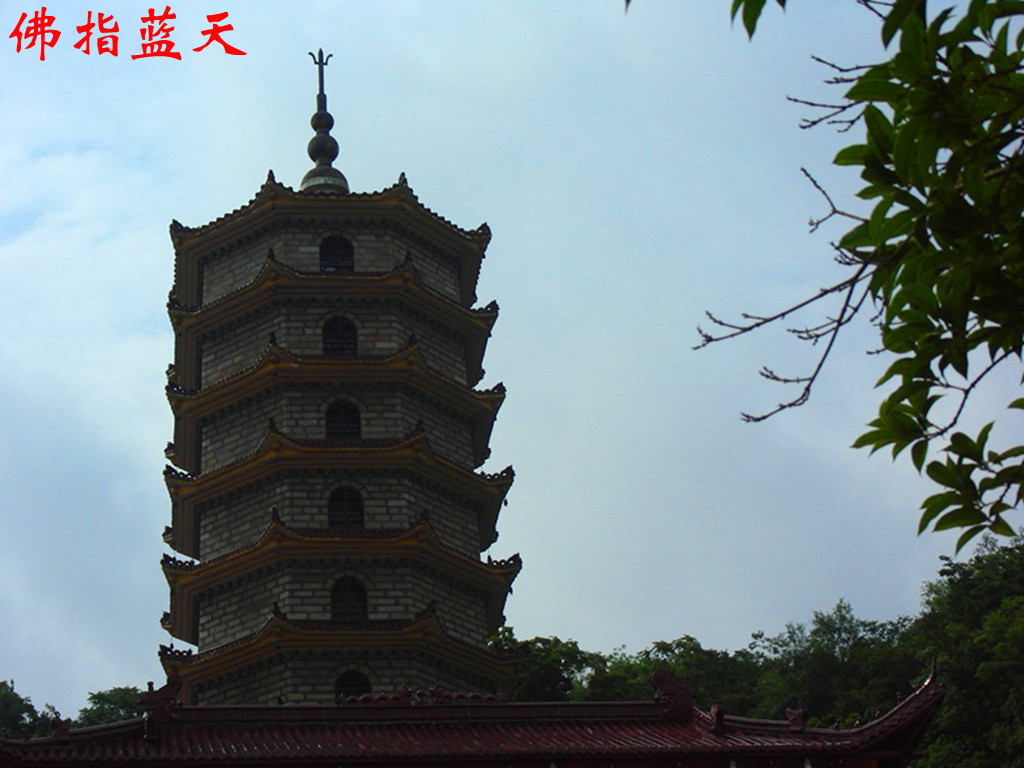 pic_9675__.jpg