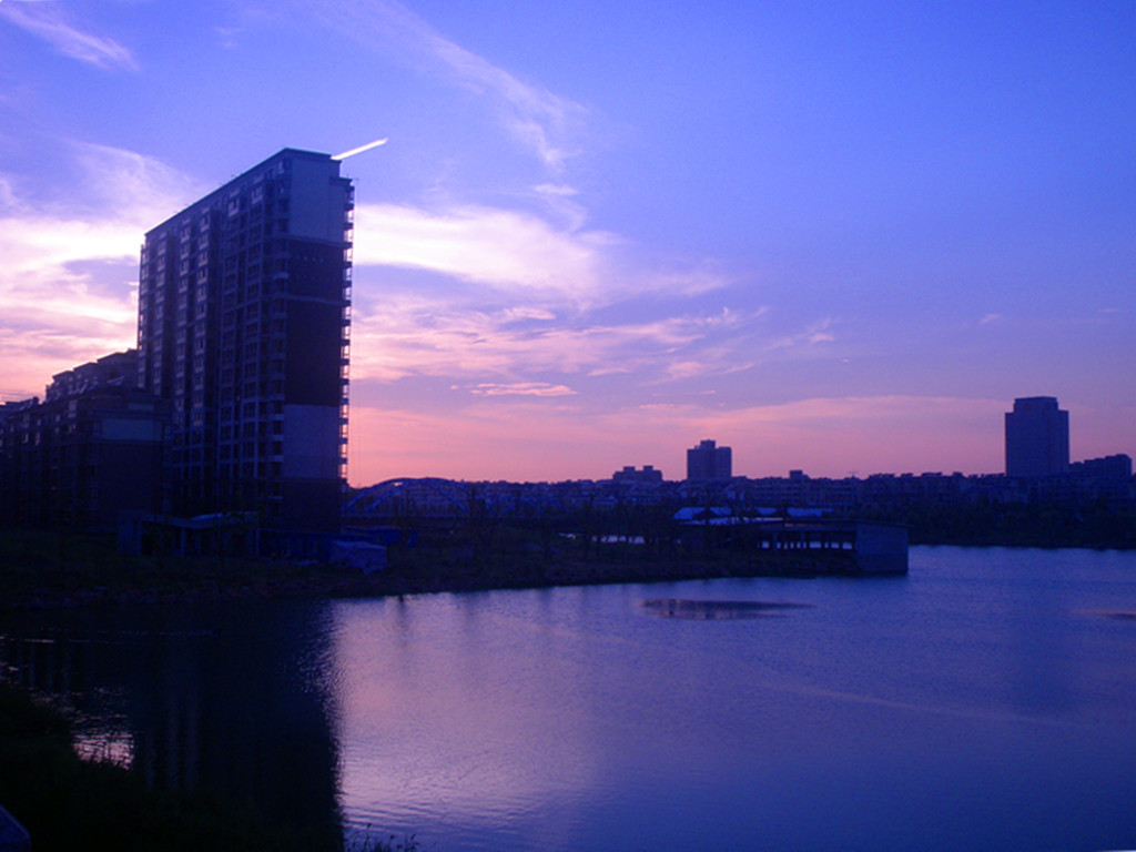 p1019900_.jpg