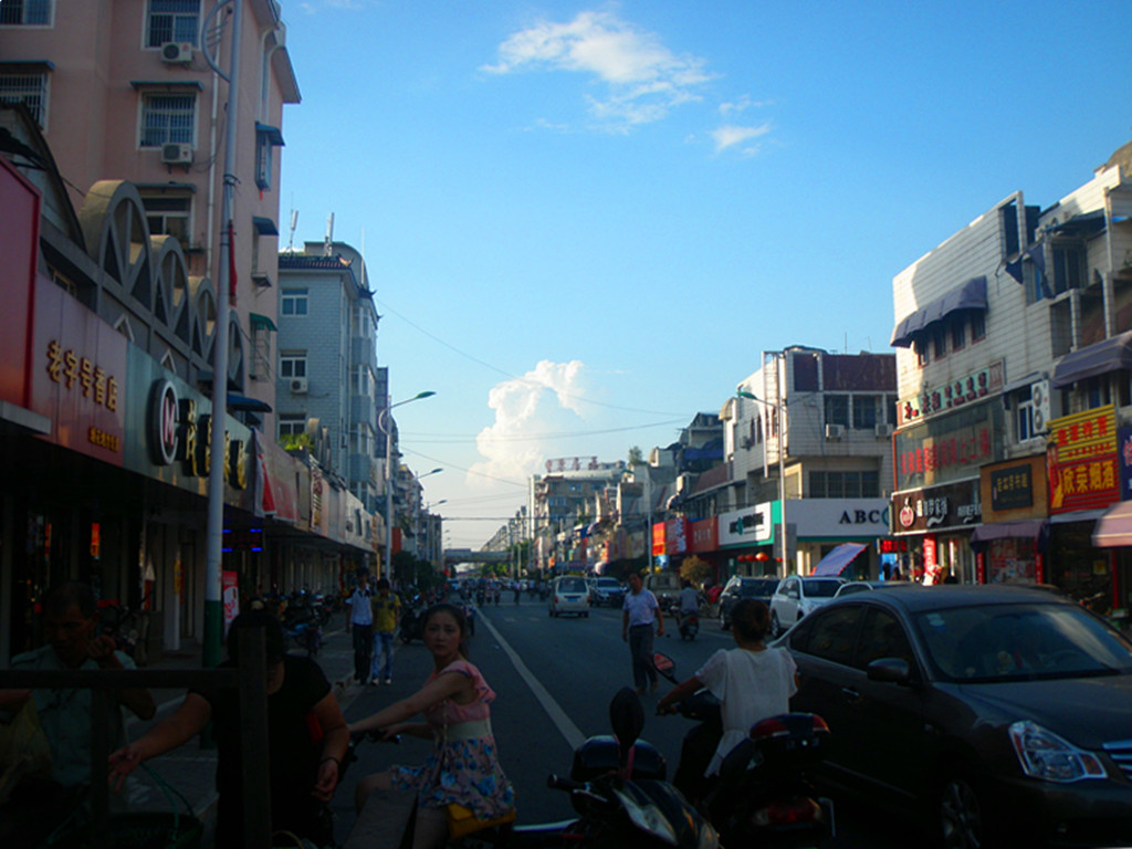 p1019895_.jpg