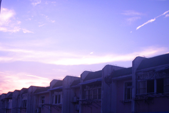 p1019887_.jpg