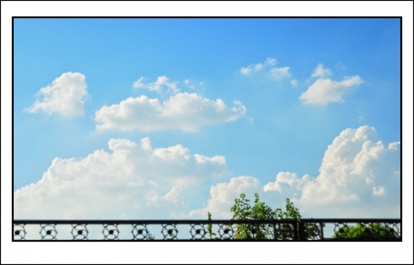 DSC_0287_conew1.JPG