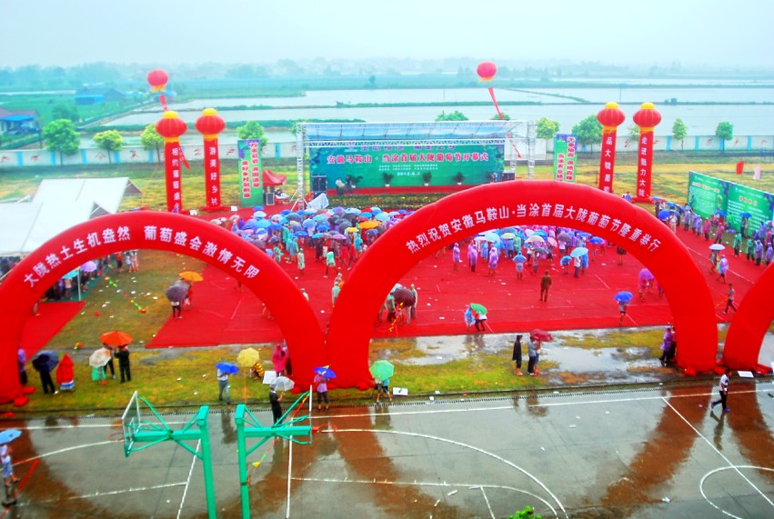 DSC_1710_conew1.JPG