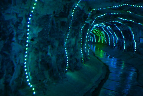 DSC_7705_conew1.JPG