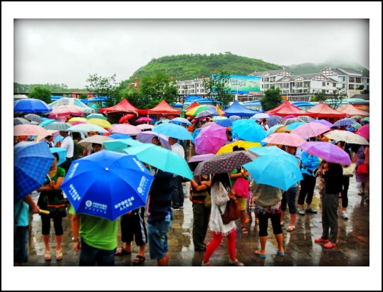 DSC_8624_conew1.JPG