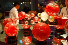 DSC_8001_conew1.JPG