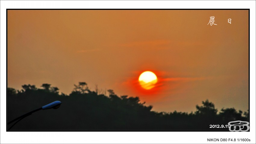 DSC_5289_conew2.JPG