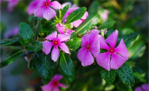 DSC_6330_conew2.jpg